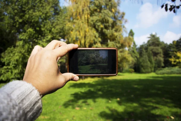 Imagem através da lente do telemóvel — Fotografia de Stock