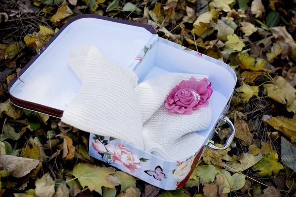 Маленький винтажный чемодан в цветных осенних листьях — стоковое фото