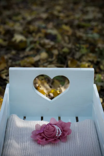 Hermosa cama de bebé en hojas de otoño — Foto de Stock