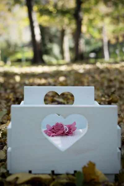 Beautiful baby bed in autumn leaves Stock Image