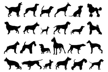 Vektör, beyaz arka plana siyah köpek siluetleri yerleştirdi 