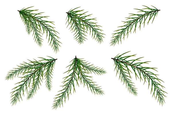 Um conjunto de ramos de abeto. Ano Novo e Natal. A árvore de Natal. — Vetor de Stock