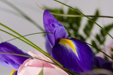 Hassas bir güzel Iris, gül ve diğer çiçekler buket