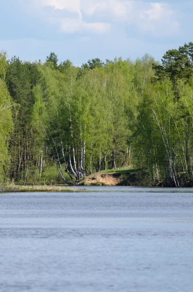 Paisaje de verano con río y cielo azul — Foto de Stock