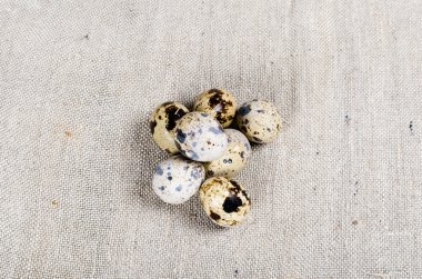 Gıda: bıldırcın yumurtası grup