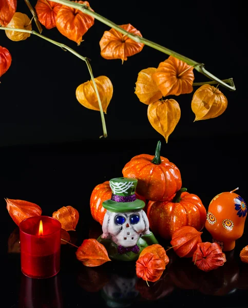 Citrouilles, crâne de chandelier et cape groseille à maquereau sur fond noir — Photo