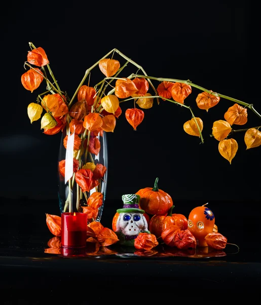 Pumpkins, Şamdan kafatası ve cape bektaşi üzümü siyah backgrond üzerinde — Stok fotoğraf