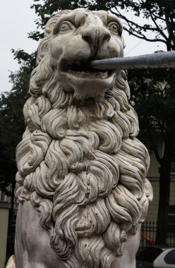 Saint Petersburg, Rusya. Köprü dört Lions Griboyedov üzerinde