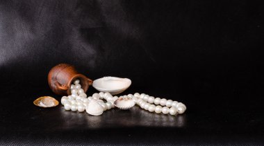 Antik Amfora, tropikal deniz kabuğu ve üzerinde siyah inci