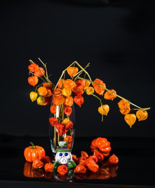 Pumpkins, Şamdan kafatası ve cape bektaşi üzümü siyah backgro üzerinde