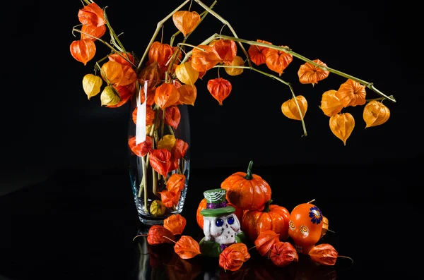 Pumpkins, Şamdan kafatası ve cape bektaşi üzümü siyah backgro üzerinde — Stok fotoğraf
