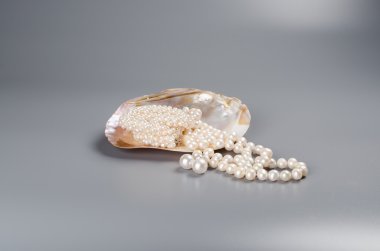 Güzel kolye inci Beyaz İnci