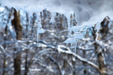 Kuzeybatı Ontario, Kanada 'da Ocak 2021' de soğuk bir Ocak kış günündeki çatı buz saçakları.