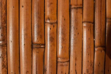 Tiki-style wooden background belonging to a bamboo table top, Ontario, Canada