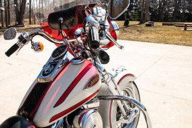 Londra, Ontario, Kanada - 21 Mart 2021: 1996 Harley-Davidson yumuşak kuyruklu Springer motosikletinin arka planda çimen ve ladin ağaçlarıyla öğleden sonra çekimi. Sürücü görünümü. 