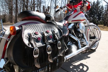 Londra, Ontario, Kanada - 21 Mart 2021: 1996 Harley-Davidson yumuşak kuyruklu Springer motosikletinin arka planda mavi gökyüzü ve ladin ağaçlarıyla öğleden sonra çekimi. Tokalı siyah eyer çantaları..