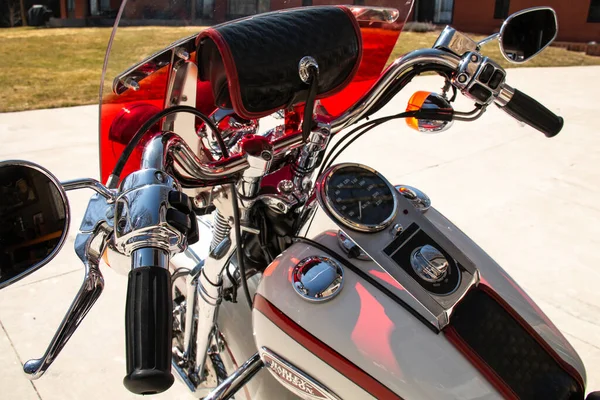 Londra, Ontario, Kanada - 21 Mart 2021: 1996 Harley-Davidson Softtail Springer motorsikletinin arka planda çimen ve ladin ağaçlarıyla öğleden sonra çekimi. Sürücü görünümü. 