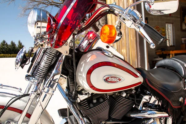 Londra, Ontario, Kanada - 21 Mart 2021: 1996 Harley-Davidson yumuşak kuyruklu Springer motosikletinin arka planda mavi gökyüzü ve ladin ağaçlarıyla öğleden sonra çekimi. Kahverengi bir ahırdan çıkarken. 