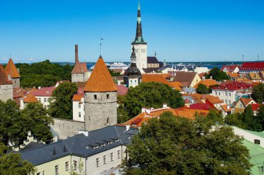 Tallinn gözlem güvertesi Eski kasaba, seyahat fotoğrafı