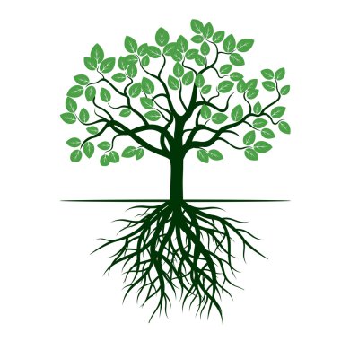 Yeşil ağaç ve kökleri. Vektör çizim.