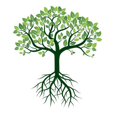 Renk ağaç ve kökleri. Vektör çizim.