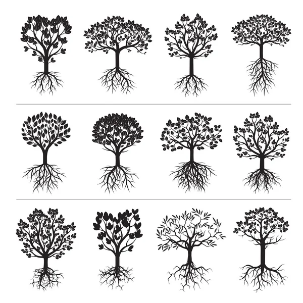 Conjunto de árvores negras e raízes — Vetor de Stock