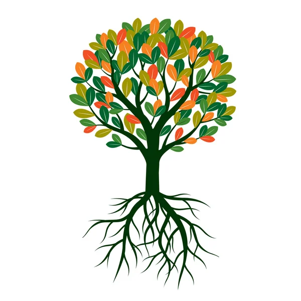 Color Tree, Leafs and Roots. Vector Illustration. — Stock Vector