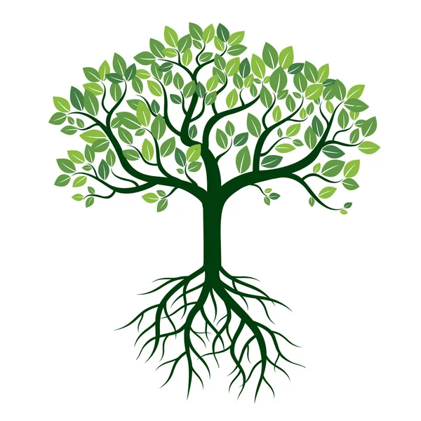 Árvore de cor e raízes. Ilustração vetorial . — Vetor de Stock