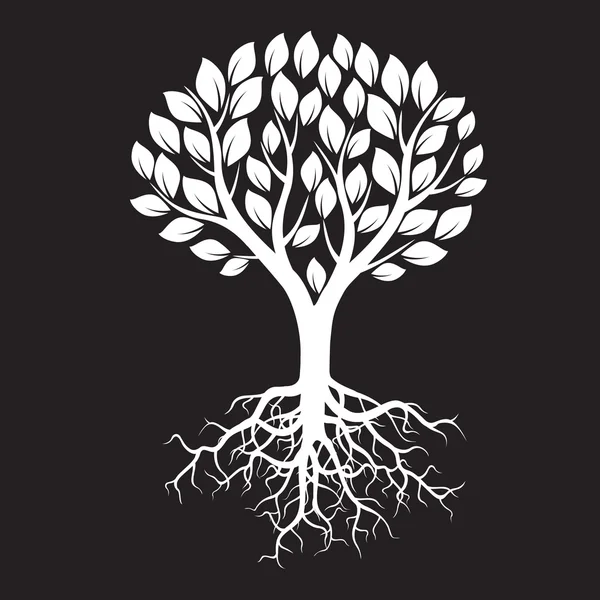 Download Tree with Roots on Black and white Background — Stock ...
