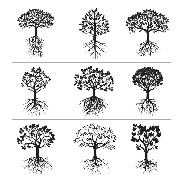 Ensemble d'arbres noirs et de racines — Image vectorielle