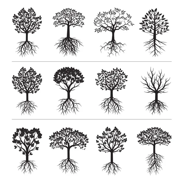 Set de copaci și rădăcini negre — Vector de stoc