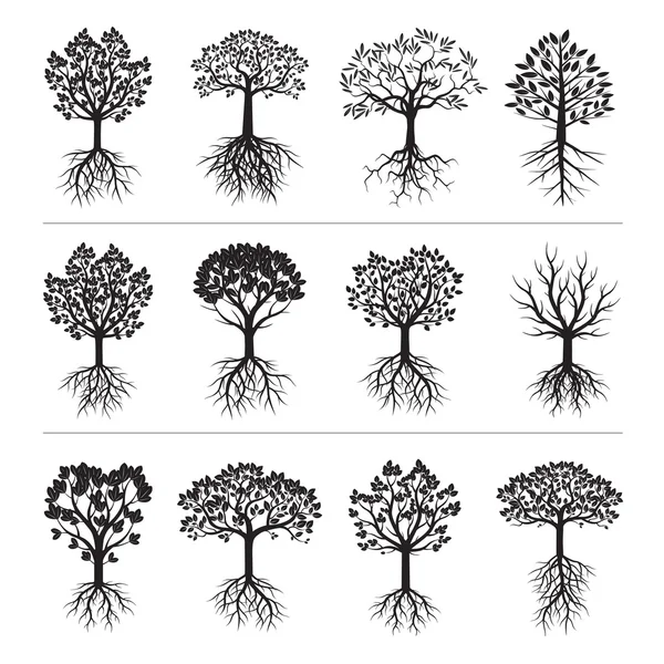 검은 나무와 뿌리의 세트 — 스톡 벡터