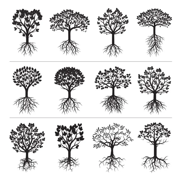 Ensemble d'arbres noirs et de racines — Image vectorielle