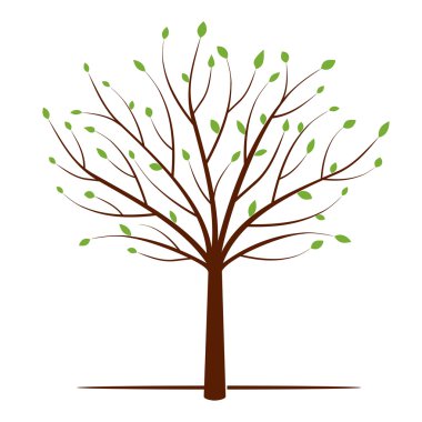 Ağaç ve yeşil yapraklar. Vektör çizim.