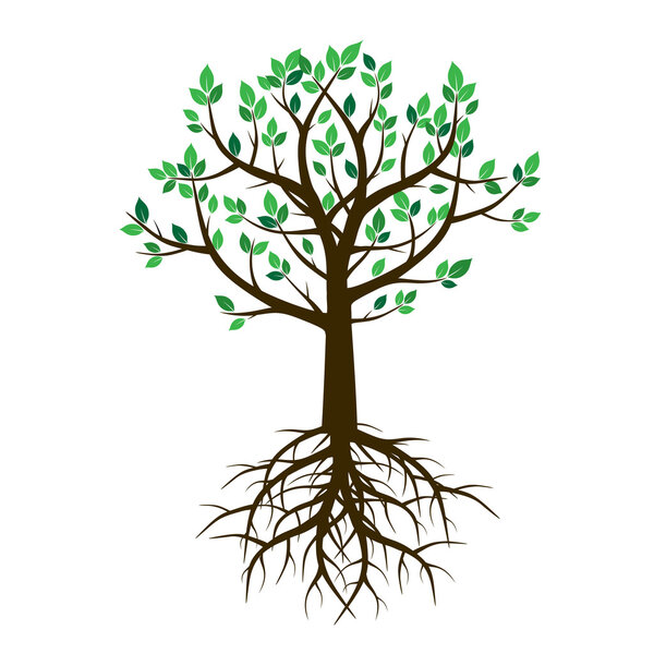 Дерево и корни. Векторная миграция
.