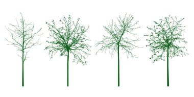 Yeşil ağaçların şekilleri. Vektör çizim.