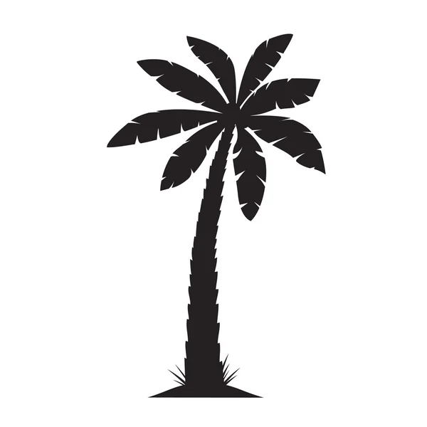 Palmera Negra. Ilustración vectorial sobre fondo blanco . — Vector de stock