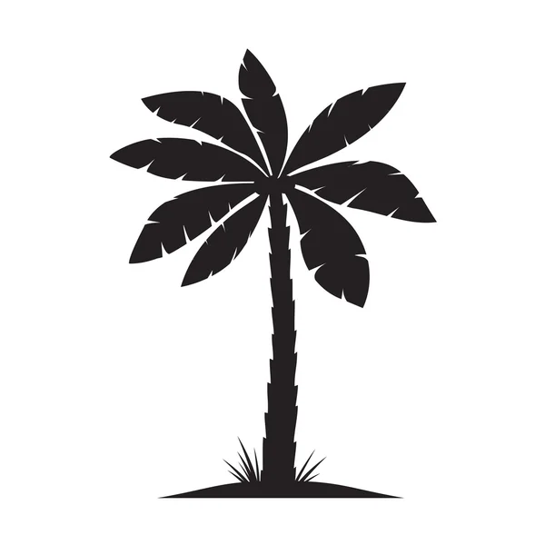 Conjunto de palmeras negras. Ilustración vectorial sobre fondo blanco — Archivo Imágenes Vectoriales