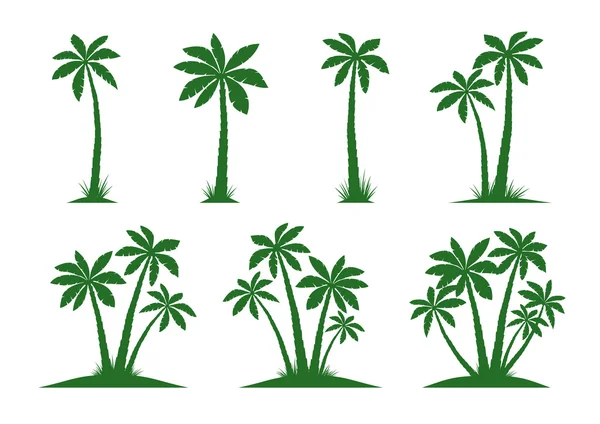 Conjunto de palmeiras. Ilustração vetorial sobre fundo branco . — Vetor de Stock