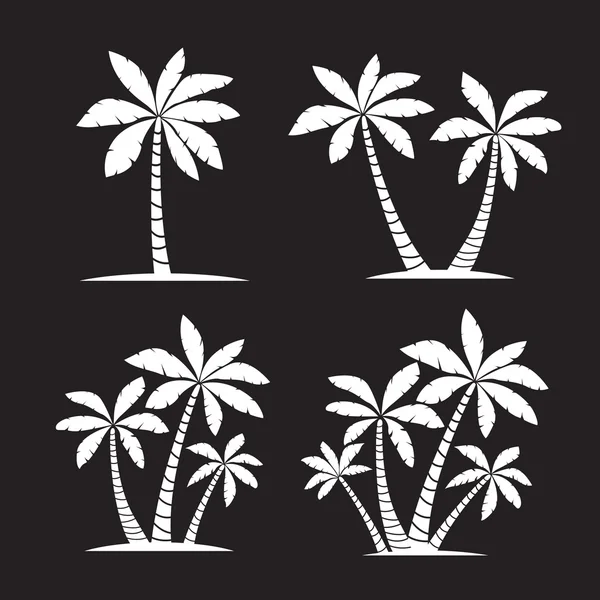 Conjunto de palmeiras brancas. Ilustração vetorial sobre fundo preto — Vetor de Stock