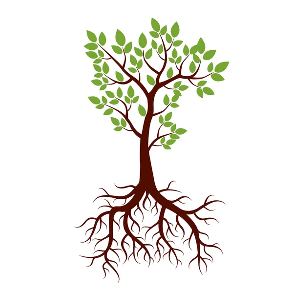 木、根と緑の形を葉します。ベクトル図. — ストックベクタ