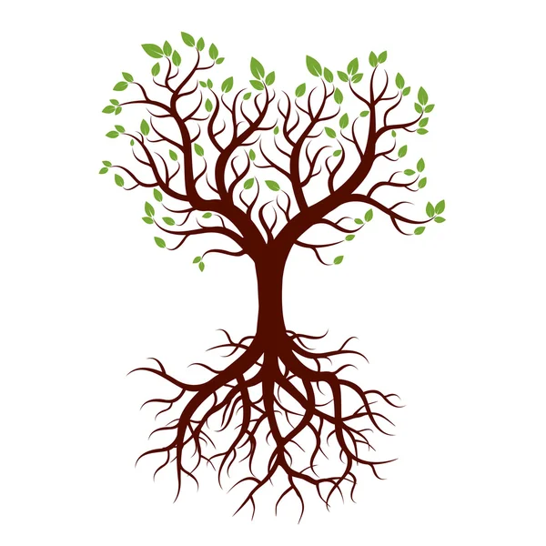 Forma de árbol, raíces y hojas verdes. Ilustración vectorial . — Vector de stock