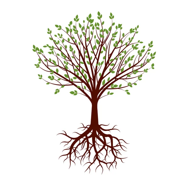 Alakja a fa, a gyökerek és a zöld levelek. Vektoros illusztráció. — Stock Vector