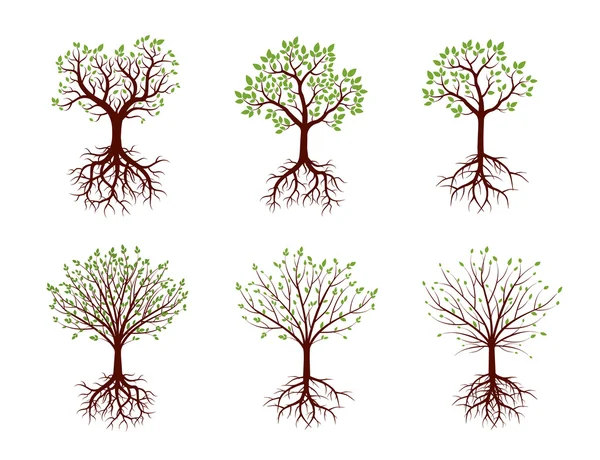 Forme des arbres, des racines et des feuilles. Illustration vectorielle . — Image vectorielle