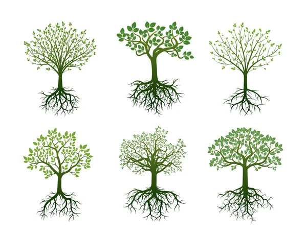 Forme des arbres, des racines et des feuilles. Illustration vectorielle . — Image vectorielle