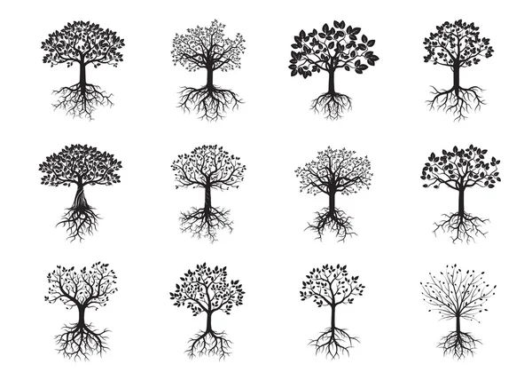 Set di alberi neri e radici. Illustrazione vettoriale . — Vettoriale Stock