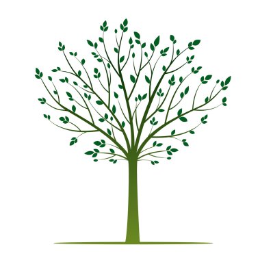 Yeşil ağaç. Vektör çizim.