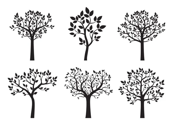 Sammlung schwarzer Bäume. Vektorillustration. — Stockvektor