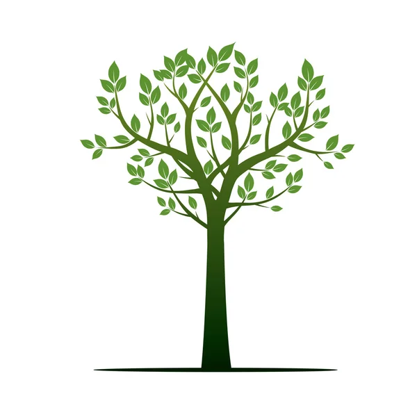 Zelený strom. Vektorové ilustrace. — Stockový vektor