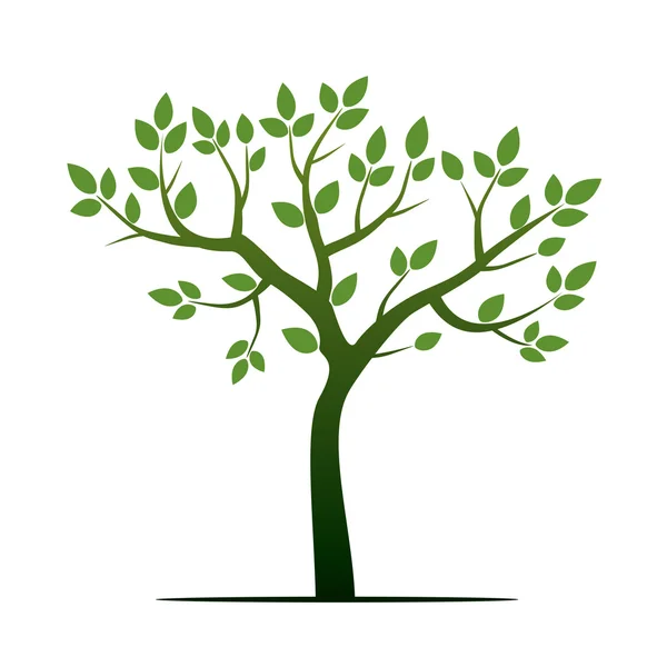 Зеленое дерево. Векторная иллюстрация . — стоковый вектор